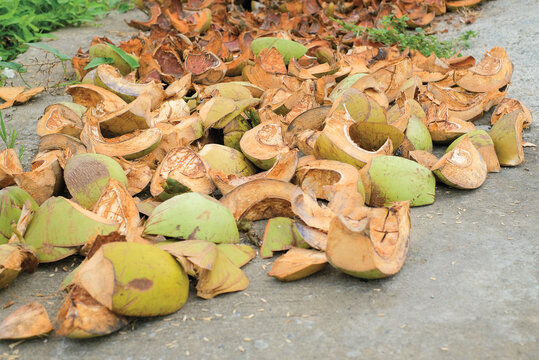 Sepet sabut kelapa, coconut coir husk or coconut shell, Dry coconut fiber fibrous brown.
