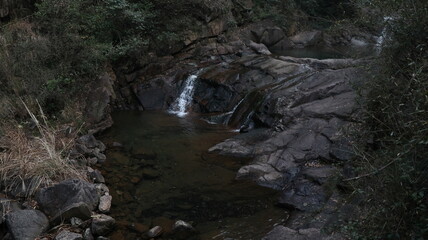 forest, tree, landscape, nature, path, autumn, green, mist, mountain, trail, outdoors
