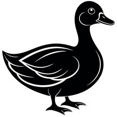       Beautiful duck silhouette vector illustration.
