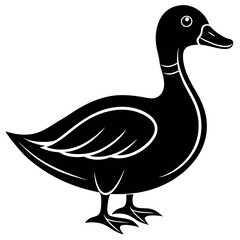       Beautiful duck silhouette vector illustration.

