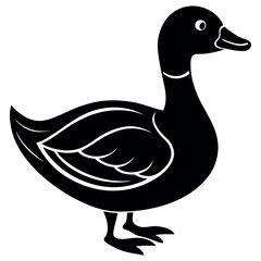       Beautiful duck silhouette vector illustration.
