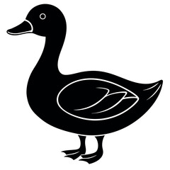       Beautiful duck silhouette vector illustration.
