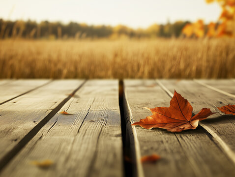 Wooden table on autumn background