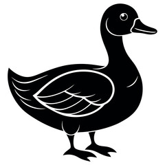       Beautiful duck silhouette vector illustration.
