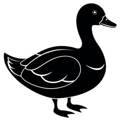       Beautiful duck silhouette vector illustration.
