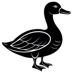       Beautiful duck silhouette vector illustration.
