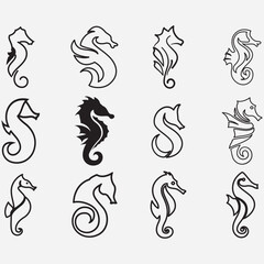 collection of seahorse