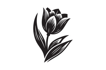 Tulip vector art illustration