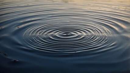 Fototapeta premium Ripple effect creating concentric circles on calm water