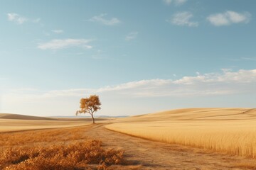 Obraz premium Minimal Countryside landscape outdoors horizon.