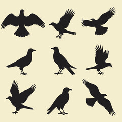 Fototapeta premium Silhouettes of various birds in different flying and perching poses.