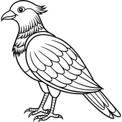 Fototapeta premium sketch of a bird