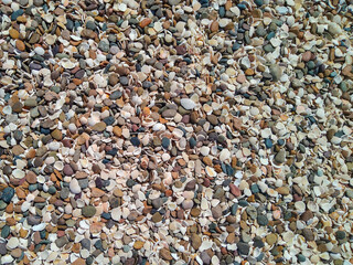 Beach pebbles and shells top view
