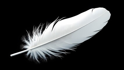 White Feather Isolated on Black Background PNG