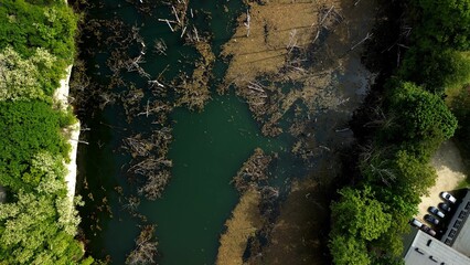 Aerial View of Bottle Green Water with Decaying Leaves, Broken Trees, Building, and Limestone Cliff This aerial view from a drone, captured from a wider perspective, shows a lake with bottle green wat