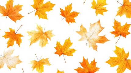 Fototapeta premium Golden Yellow And Orange Falling Maple Leaves Collection Seamless Overlay On White Background Patterns