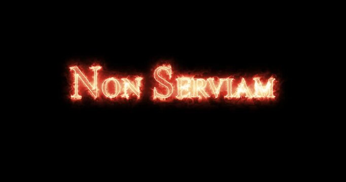 Non Serviam written with fire. Loop