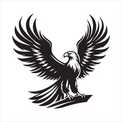 Fototapeta premium Eagle Vector Art Illustration