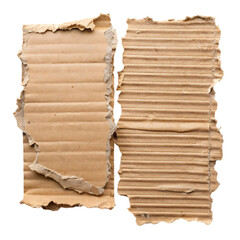 A piece of torn cardboard