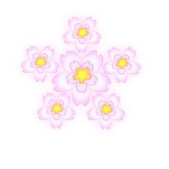 pink and white flowers