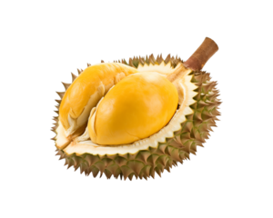 Two spiky durian fruits with one open, showcasing the vibrant yellow flesh inside, are perfect for food blogs, tropical themes, or culinary designs. Generative AI