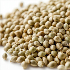 Fototapeta premium Hemp Seeds Isolated