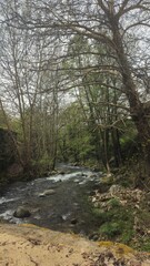 waterfall in the woods