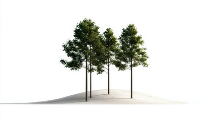 Obraz premium A serene landscape featuring four tall trees on a sandy hill, evoking a sense of tranquility and natural beauty.