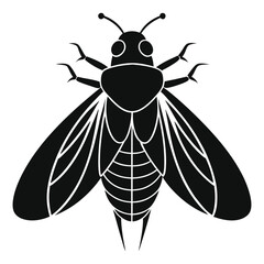 cicadas silhouette style on white background