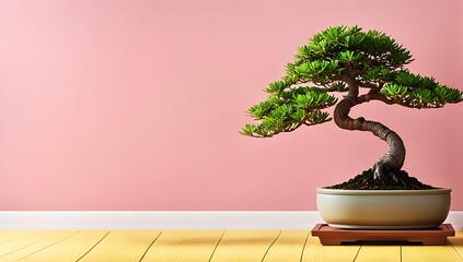 The bonsai tree has a thick, twisted trunk and dense, well-manicured foliage, showcasing its...