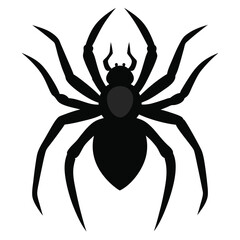 spider silhouette style isolated on white