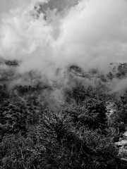 clouds in the mountains