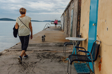 person walking with the dog on the beach