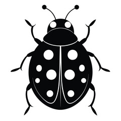 illustration of a ladybug 