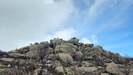 rocks in the mountains with goats