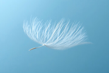 A single dandelion seed floating against a soft blue background