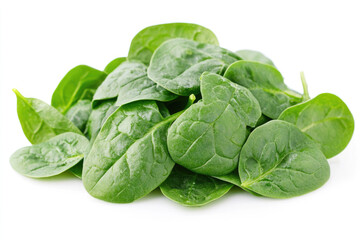 Fototapeta premium A vibrant pile of fresh green baby spinach leaves