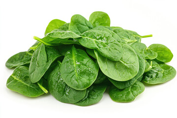 Fototapeta premium A vibrant pile of fresh green baby spinach leaves