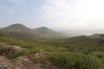 mountains with green grass and cloudy sky in oman