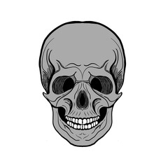skull illustration on a white background