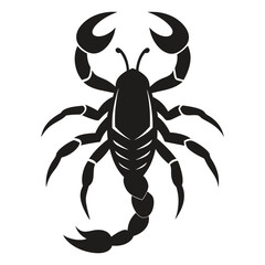 scorpion silhouette isolated on white