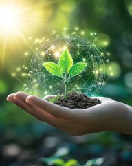 A blockchain-powered environmental impact assessment platform, providing real-time tracking of carbon footprints and offering data on sustainability metrics.