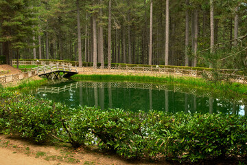 Un laghetto nel Parco Nazionale della Sila Piccola, Calabria, Italia