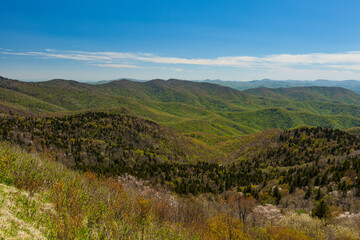 Blue Ridge Parkway in Spring