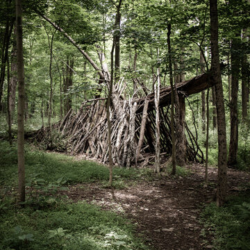 Creepy Wooden Structure in the woods
