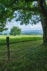 Cades Cove in the Great Smoky Mountains