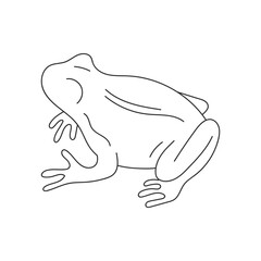 Hand drawn outline frog vector illustration