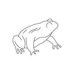 Hand drawn outline frog vector illustration