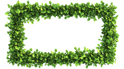 Rectangular frame border fresh dense green leaves natural element isolated on background