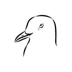 Seagull flying illustration Australian seagull vector